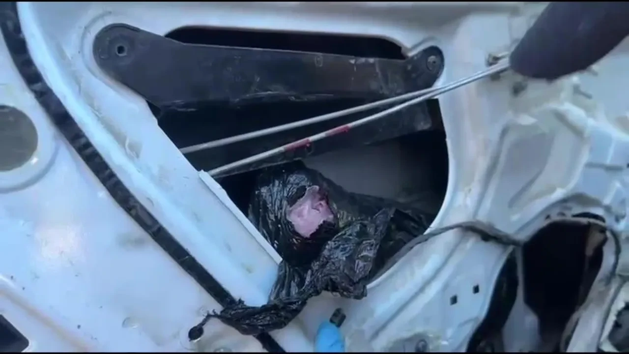 Binlerce uyuşturucu hapla yakalanan şahsın savunması şoke etti