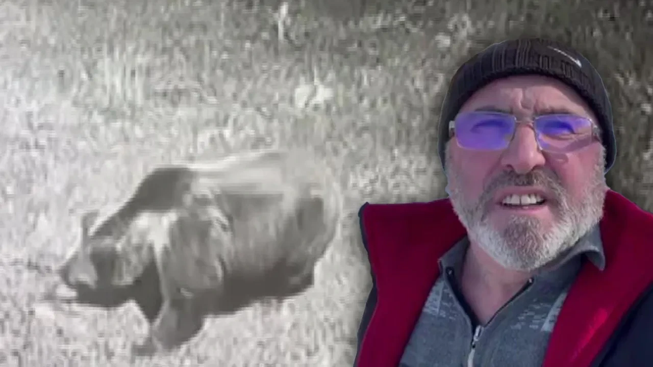 Kış uykusuna yatmayan ayıya seslendi: 