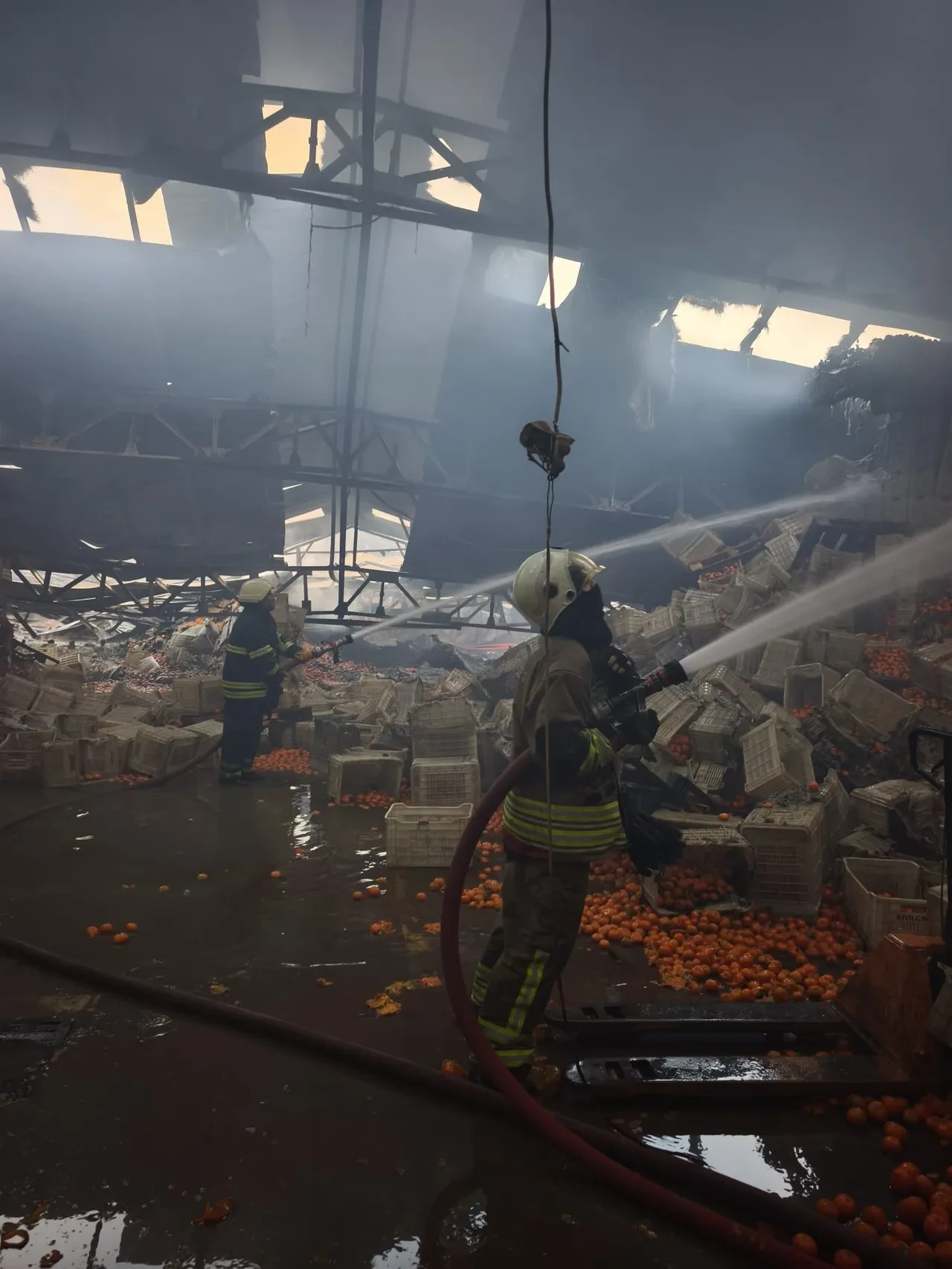 Narenciye paketleme fabrikasında korkunç yangın! 1 işçi hayatını kaybetti 