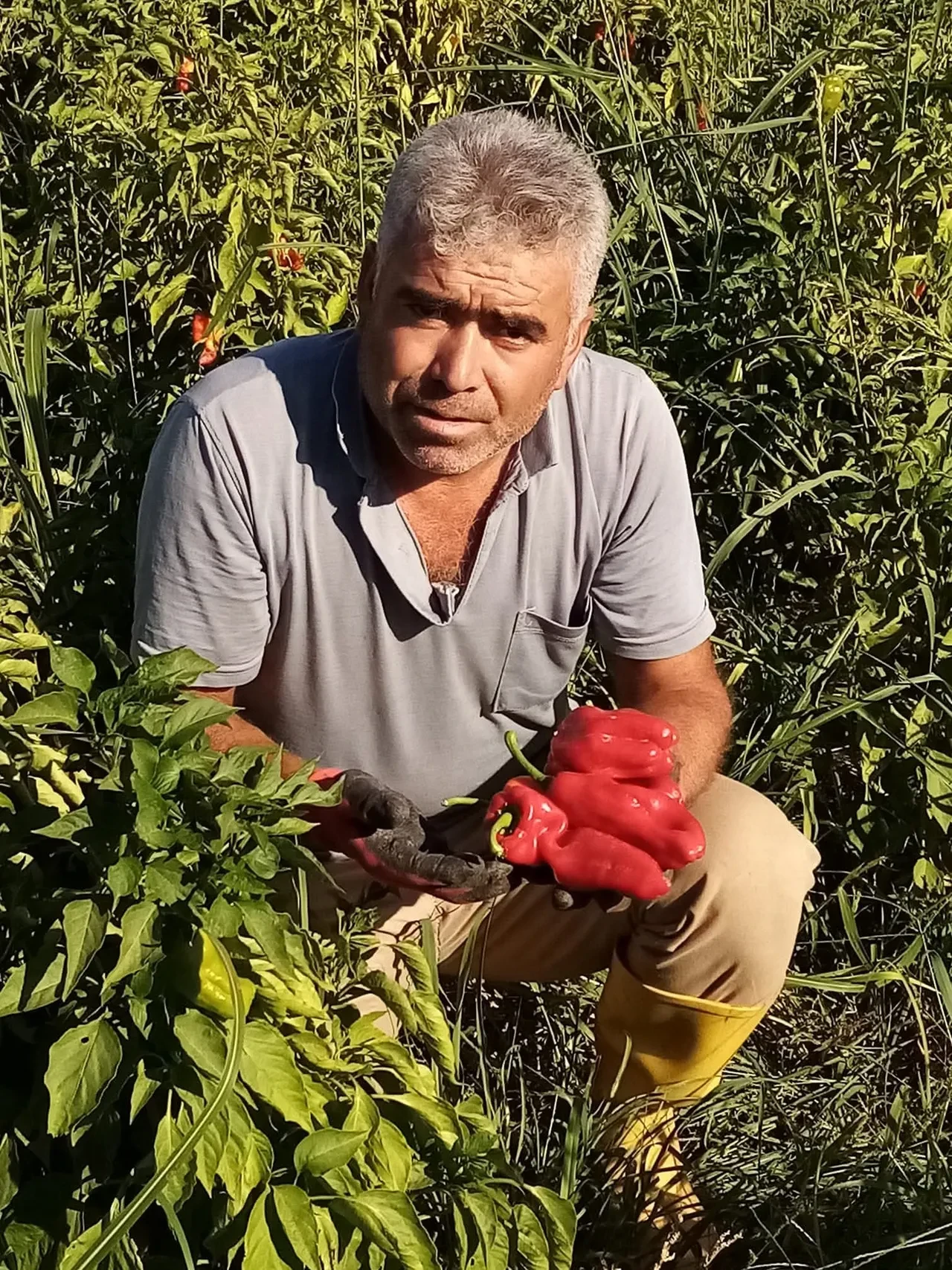 Şanlıurfa'da asansör faciası! 4'üncü kattan yere çakıldı, kanlar içinde kaldı