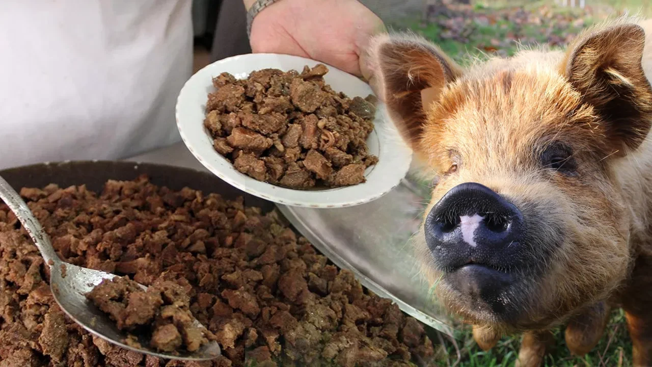 Babamın hayrına dedi, binlerce kişiye domuz eti yedirdi iddiası! Vatandaşları ayağa kaldıran olayla ilgili flaş açıklama