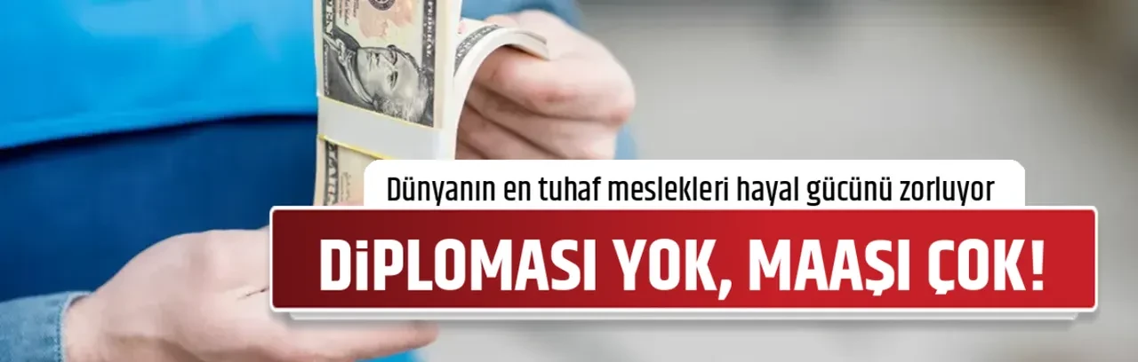 DİPLOMASI YOK, MAAŞI ÇOK!