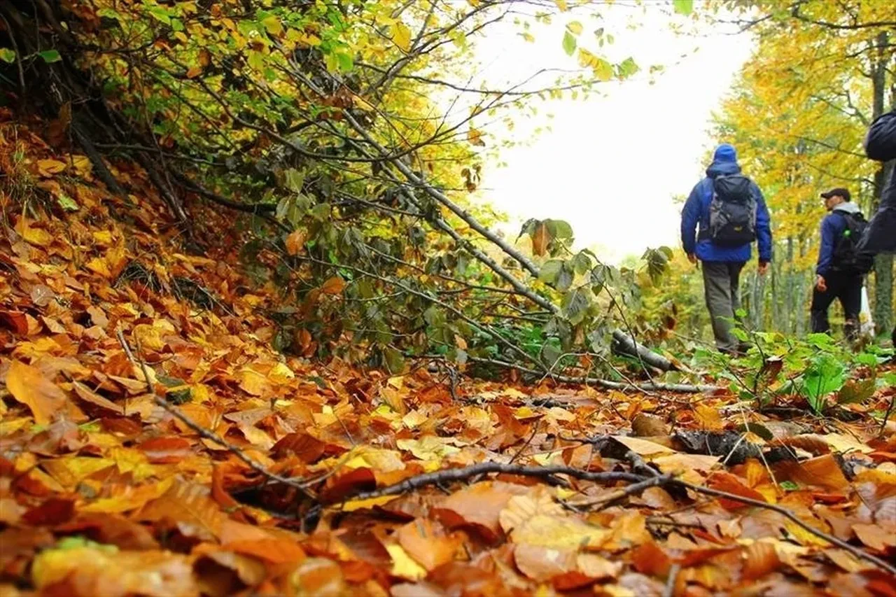 Dünya yürüyor, Türkiye şaşırtıyor! En çok yürüyen ülkeler belli oldu! Bakın kaçıncı sıradayız