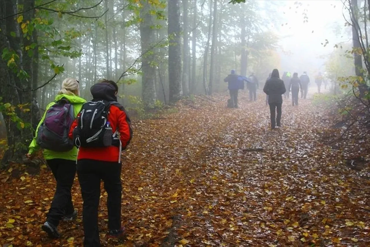 Dünya yürüyor, Türkiye şaşırtıyor! En çok yürüyen ülkeler belli oldu! Bakın kaçıncı sıradayız