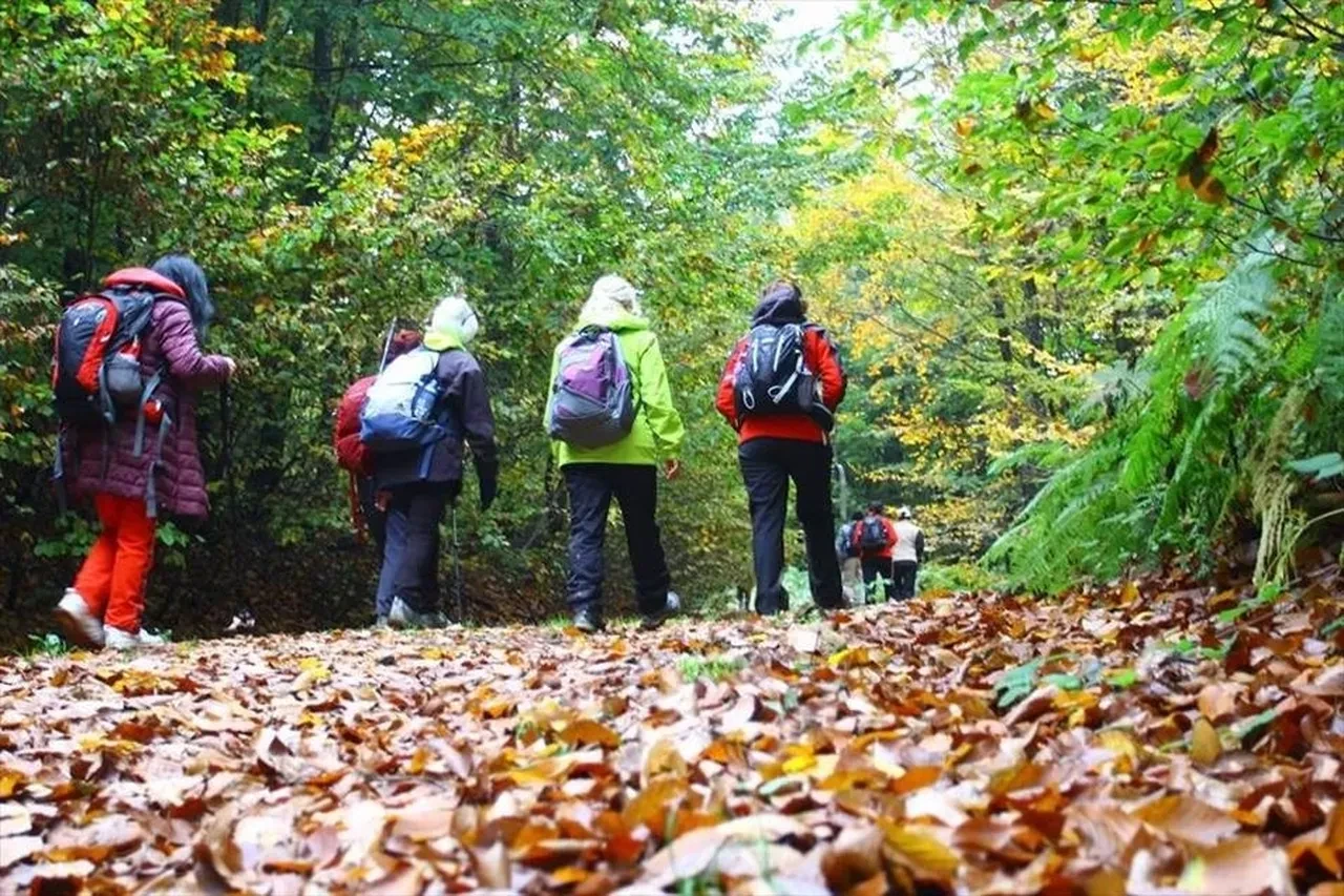 Dünya yürüyor, Türkiye şaşırtıyor! En çok yürüyen ülkeler belli oldu! Bakın kaçıncı sıradayız