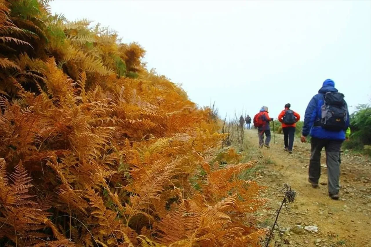 Dünya yürüyor, Türkiye şaşırtıyor! En çok yürüyen ülkeler belli oldu! Bakın kaçıncı sıradayız