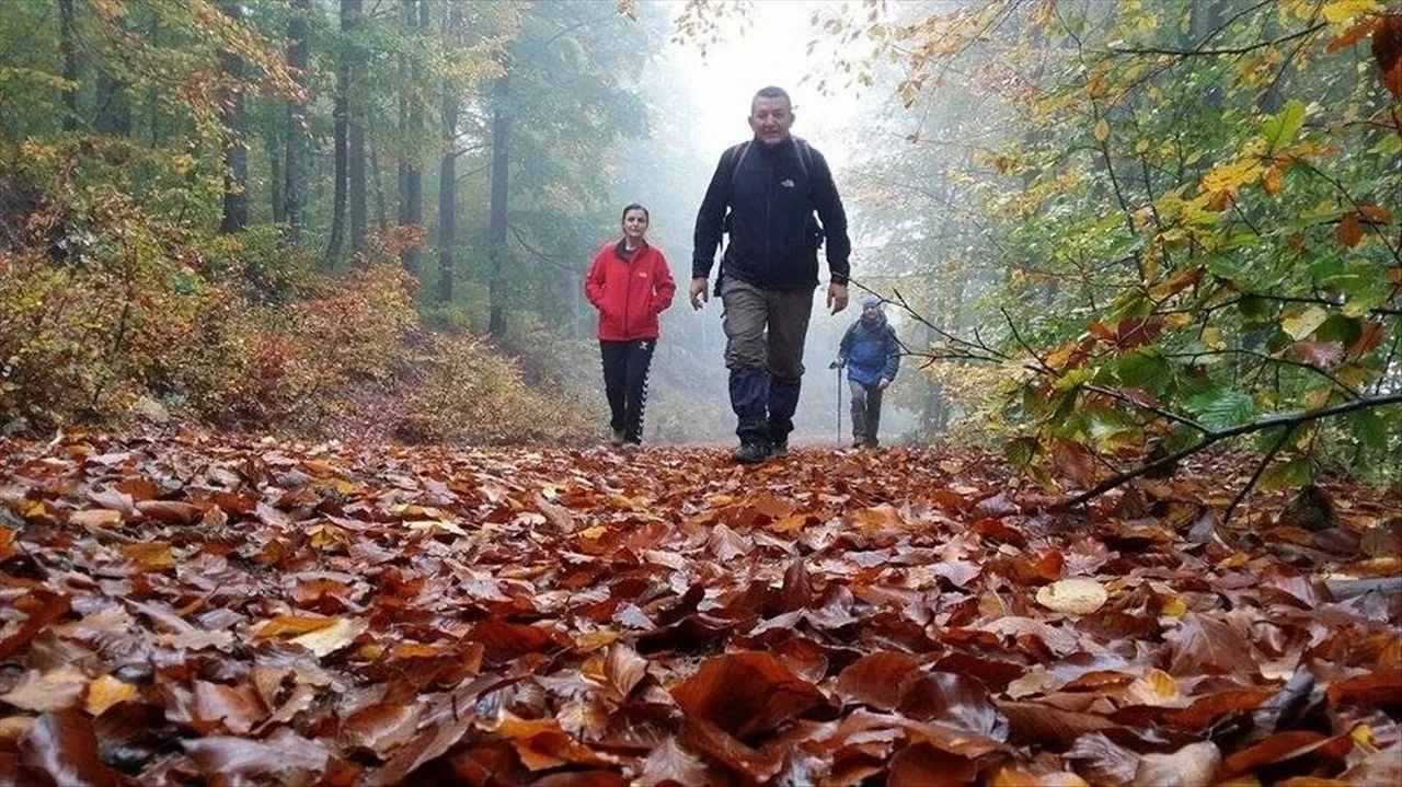 Dünya yürüyor, Türkiye şaşırtıyor! En çok yürüyen ülkeler belli oldu! Bakın kaçıncı sıradayız