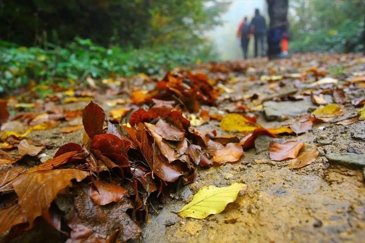 Dünya yürüyor, Türkiye şaşırtıyor! En çok yürüyen ülkeler belli oldu! Bakın kaçıncı sıradayız