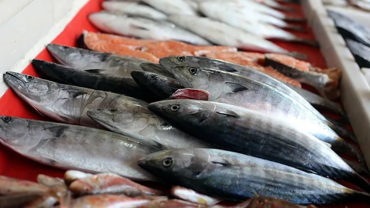 Tam mevsimi ve kış yorgunluğuna birebir! İşte kışın evden eksik etmemeniz gereken balıklar