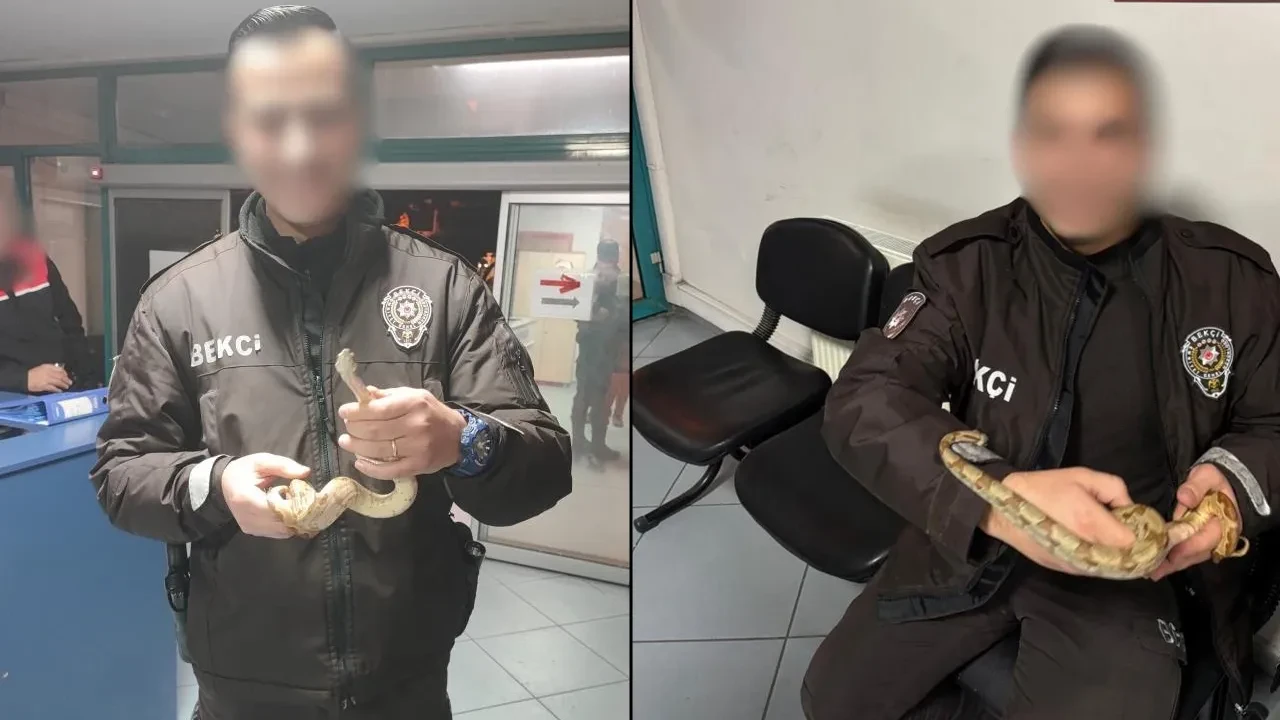 Yılanını yanına aldı, kafe kafe gezmeye başladı! Ekiplere yakalanınca savunması şoke etti