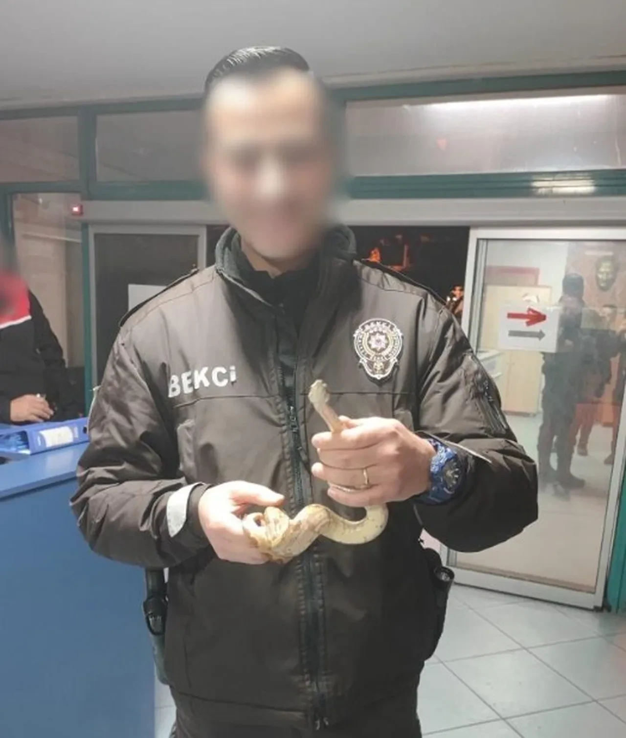 Yılanını yanına aldı, kafe kafe gezmeye başladı! Ekiplere yakalanınca savunması şoke etti