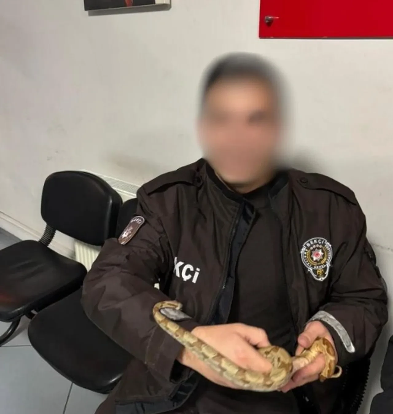 Yılanını yanına aldı, kafe kafe gezmeye başladı! Ekiplere yakalanınca savunması şoke etti