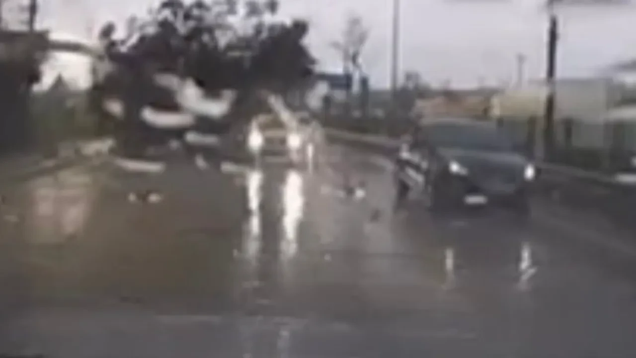 Ağaç yol ortasına böyle devrildi! Facianın eşiğinden dönüldü