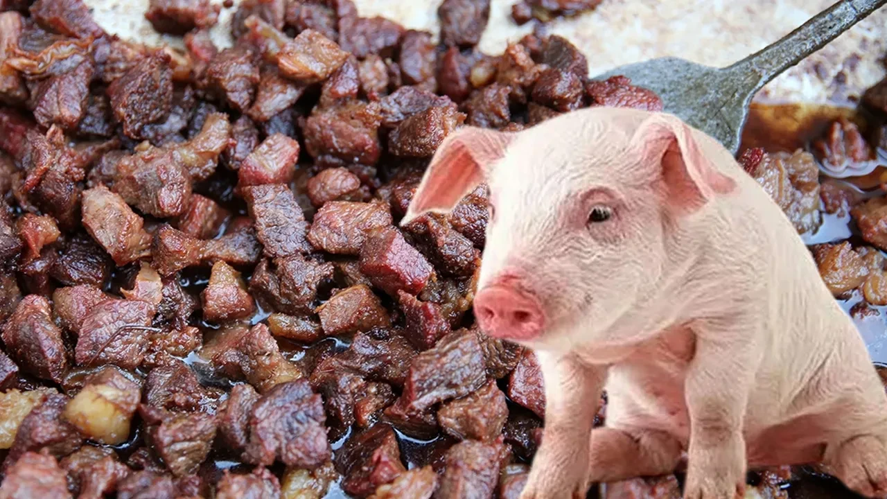 Aydın'da cuma çıkışında domuz etiyle kavurma mı dağıtıldı? Her şey ortaya çıktı! Kafaları tek detay karıştırmış