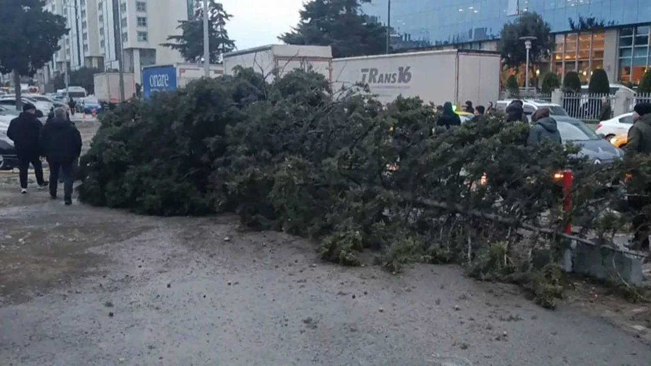 Bahçelievler'de şiddetli rüzgar ağacı devirdi: 1 kişi altında kaldı