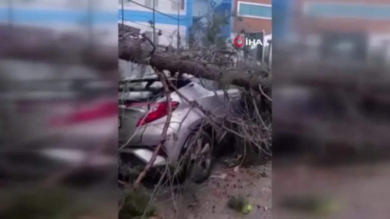 Büyükçekmece'de aracın üzerine ağaç devrildiği anlar kamerada 