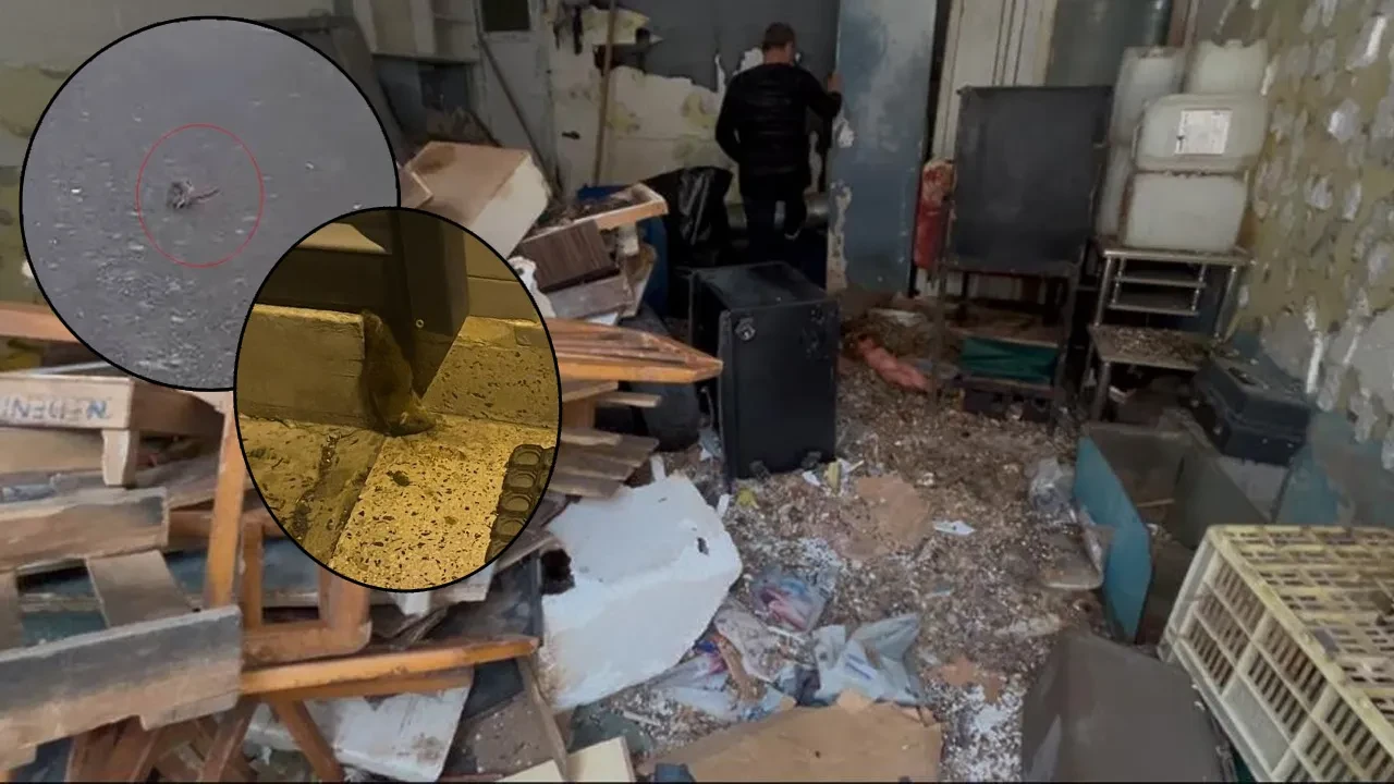 Dükkana giren vatandaşlar şoke oldu! Etrafa kaçıştılar, kötü koku tüm sokağı sardı