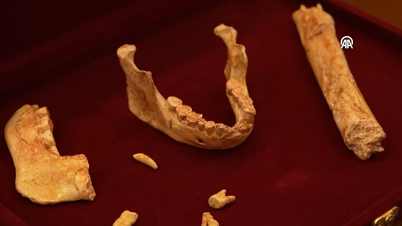 İnsanlığın kritik dönemine ışık tutuyor! Fas'ta 773 bin yaşında insan bulundu