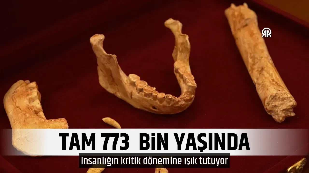 TAM 773  BİN YAŞINDA
