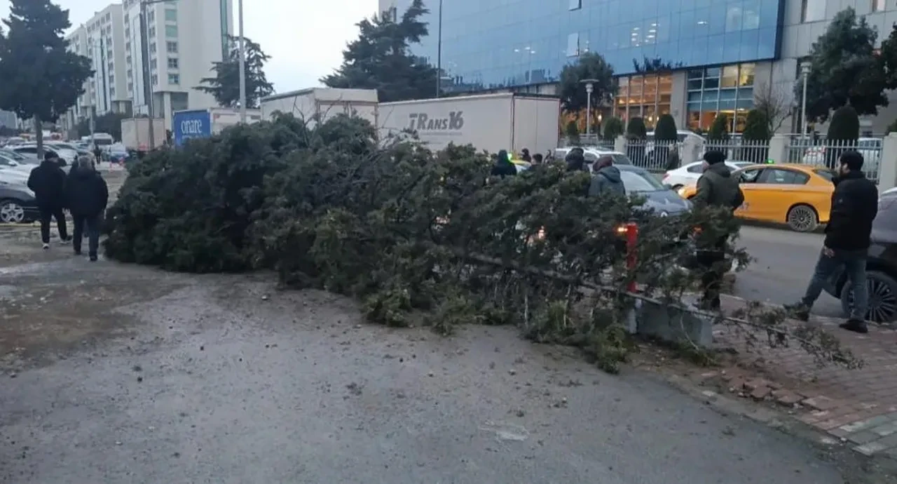 İstanbul dahil birçok ilde fırtına ortalığı yıktı geçti! Ağaçlar devrildi, çatılar uçtu, deniz taştı