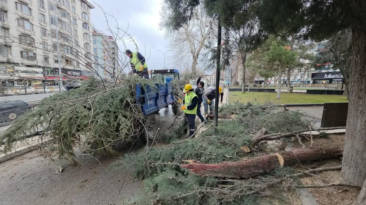 İstanbul dahil birçok ilde fırtına ortalığı yıktı geçti! Ağaçlar devrildi, çatılar uçtu, deniz taştı