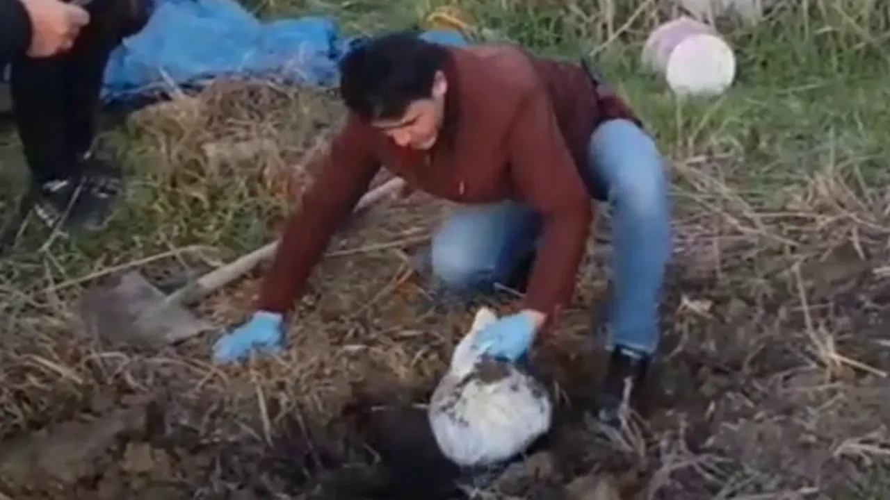 Kazdıkça kilo kilo altın çıktı! Ekipler 4 farklı noktada 24 milyonluk altın buldu