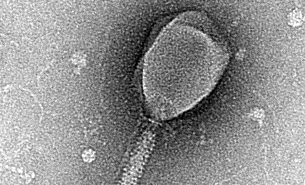 Yapay zeka laboratuvarda sıfırdan virüs üretti: "Kusursuz biyolojik silah" endişesi