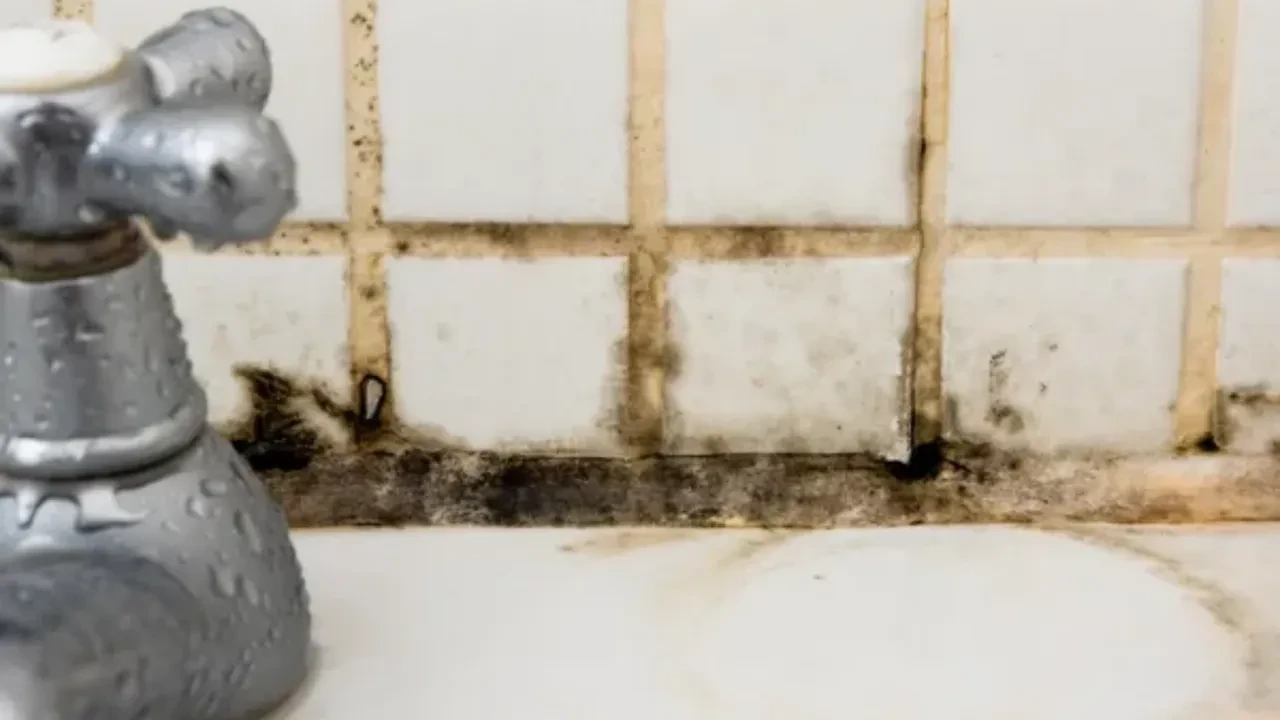 Duşakabindeki o siyah küfleri sakın kazımayın: Pamuğa döküp bekletince silikonu bembeyaz yapan sıvı