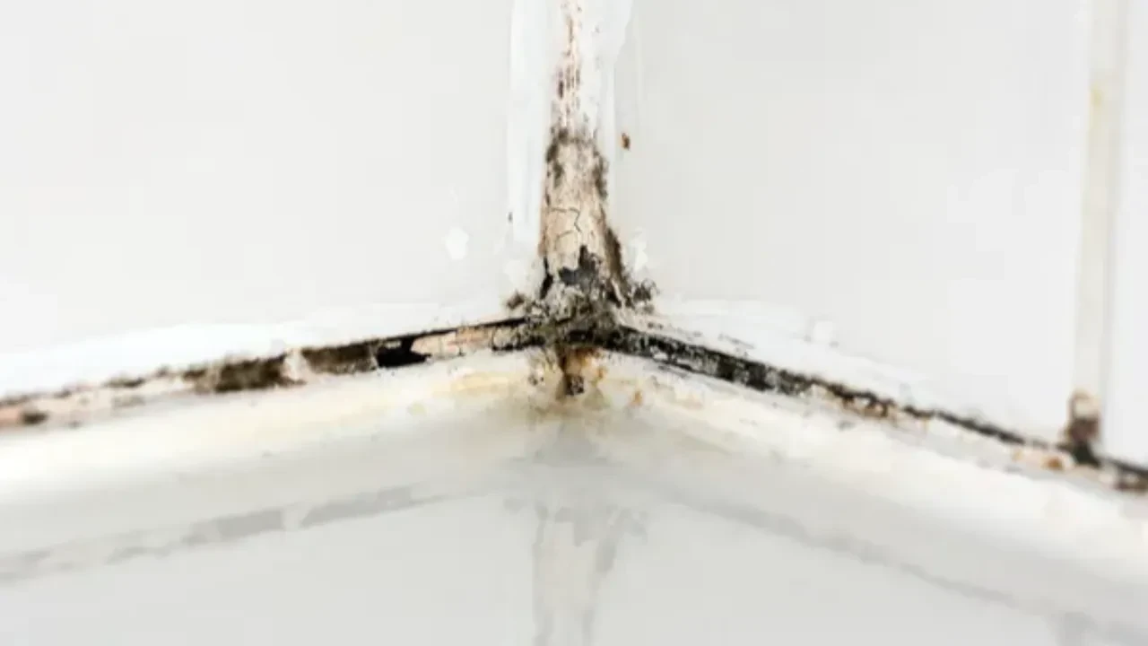 KİMLER DİKKATLİ OLMALI?