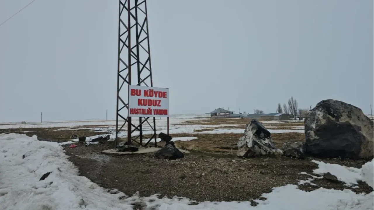 Ekipler kuduz alarmı verdi! Bir köy karantinaya alındı, giriş çıkışlar yasaklandı