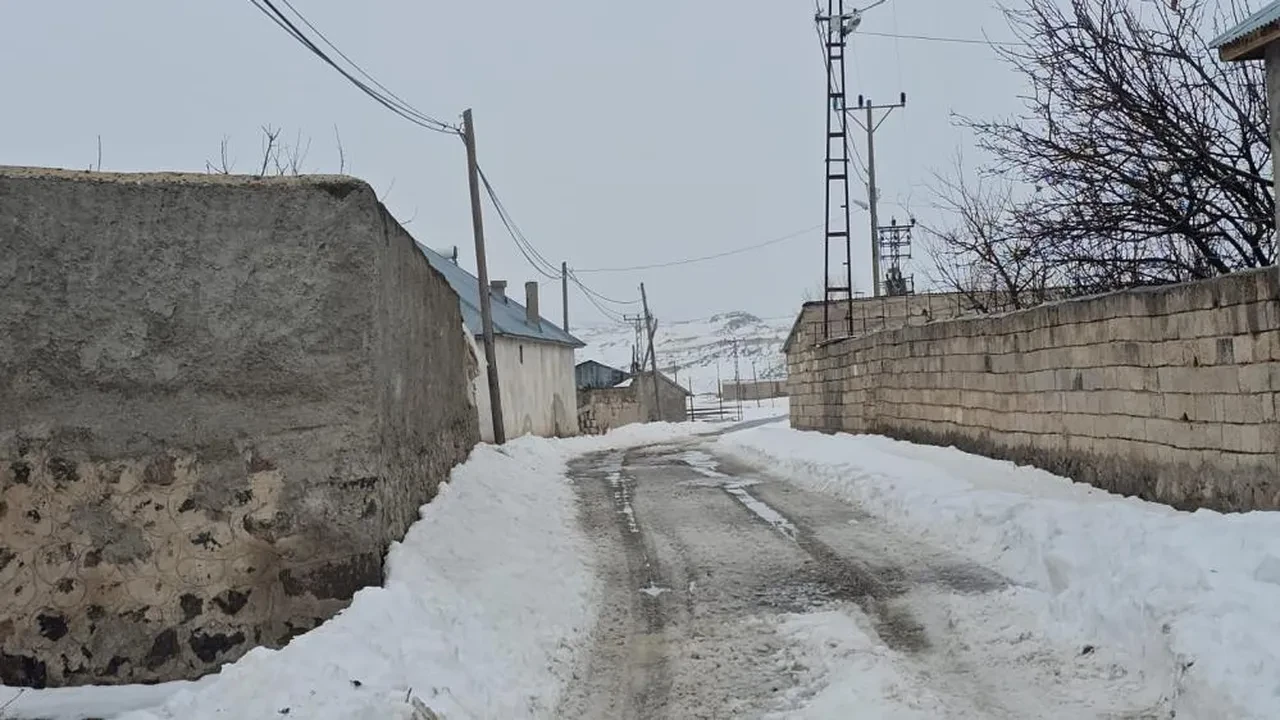 Ekipler kuduz alarmı verdi! Bir köy karantinaya alındı, giriş çıkışlar yasaklandı