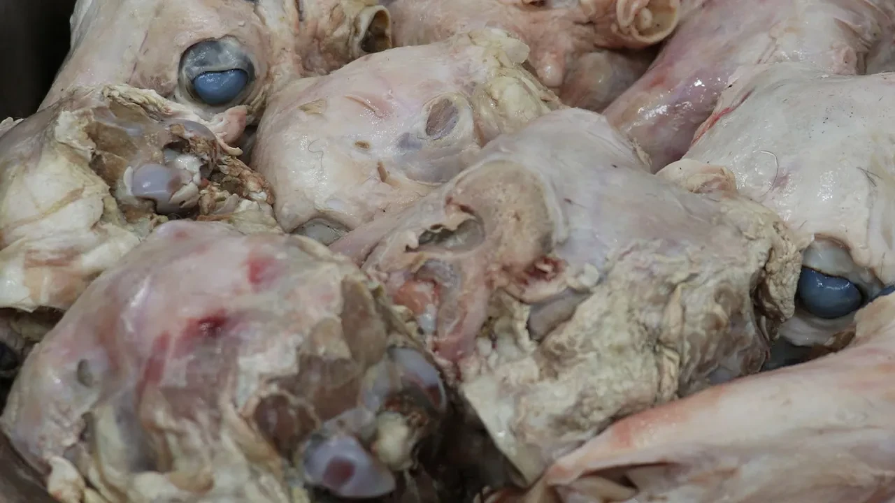 Korkutucu görüntüsü var ama yemeden duramıyorlar! Şifa deposu 16 saatte pişiriliyor, baltayla yarılıyor