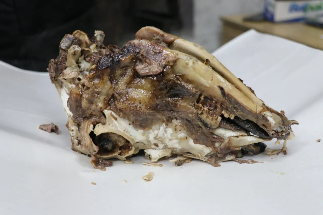 Korkutucu görüntüsü var ama yemeden duramıyorlar! Şifa deposu 16 saatte pişiriliyor, baltayla yarılıyor