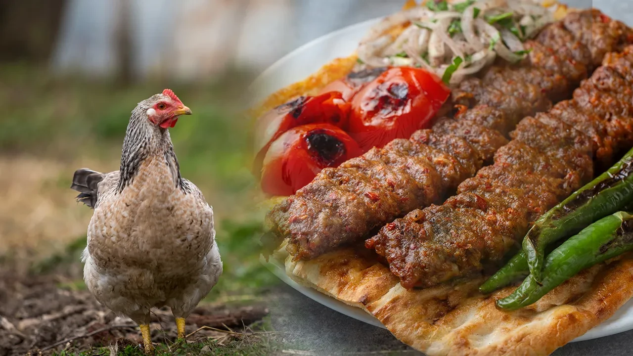 Adana kebap diye kanatlı eti yedirmişler: Tarım ve Orman Bakanlığı taklit ve tağşiş yapan firmaları açıkladı
