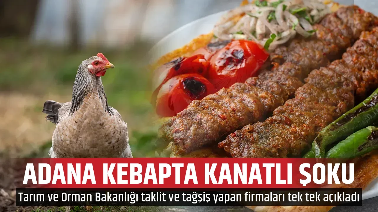 ADANA KEBAPTA KANATLI ŞOKU