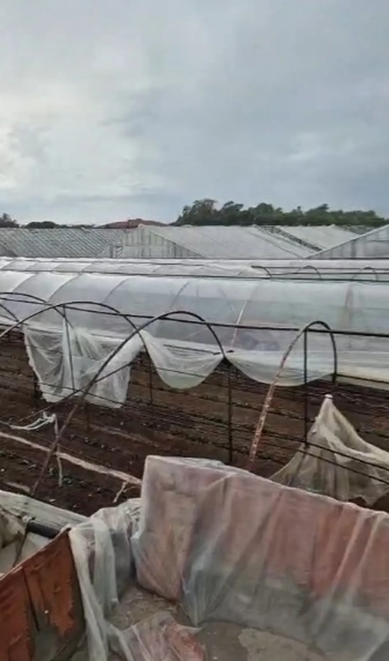 Kumluca’da sağanak ve fırtına alarmı: Denizde çıkan hortum karaya ulaştı, seralar zarar gördü