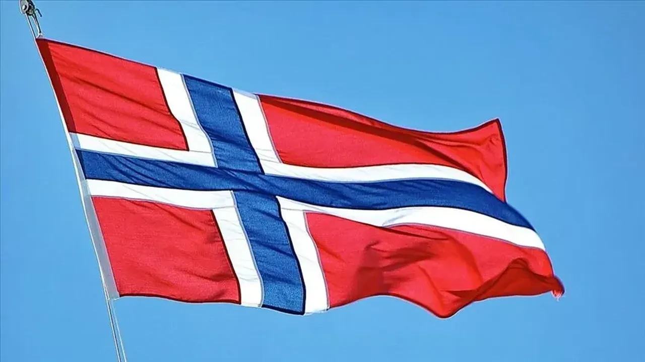 Norveç Varlık Fonu Türkiye'de hangi hisseleri alıyor? Tera'da da hissesi var!