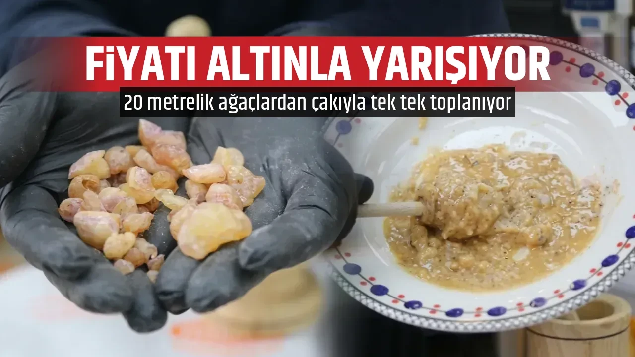 FİYATI ALTINLA YARIŞIYOR