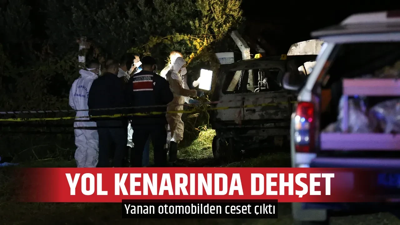 YOL KENARINDA DEHŞET