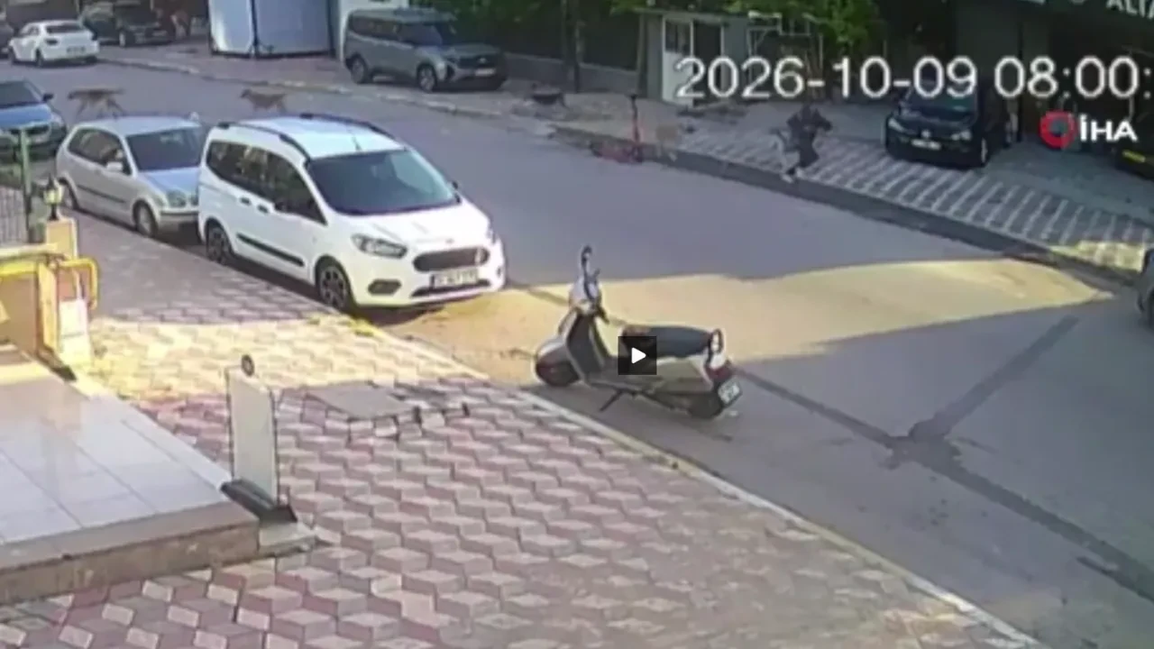 Okula giderken sokak köpekleri saldırdı: Hatay’da dehşet anları kamerada