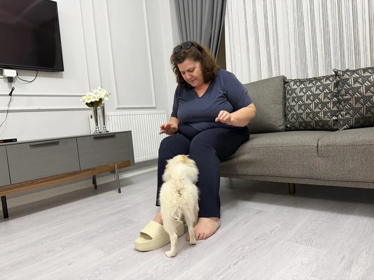Aydın'dan gelen köpek Mardinli ailenin hayatını kabusu çevirdi