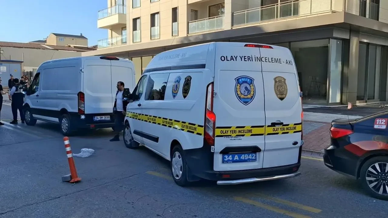İstanbul'da ağaçlık alanda el bombası bulundu