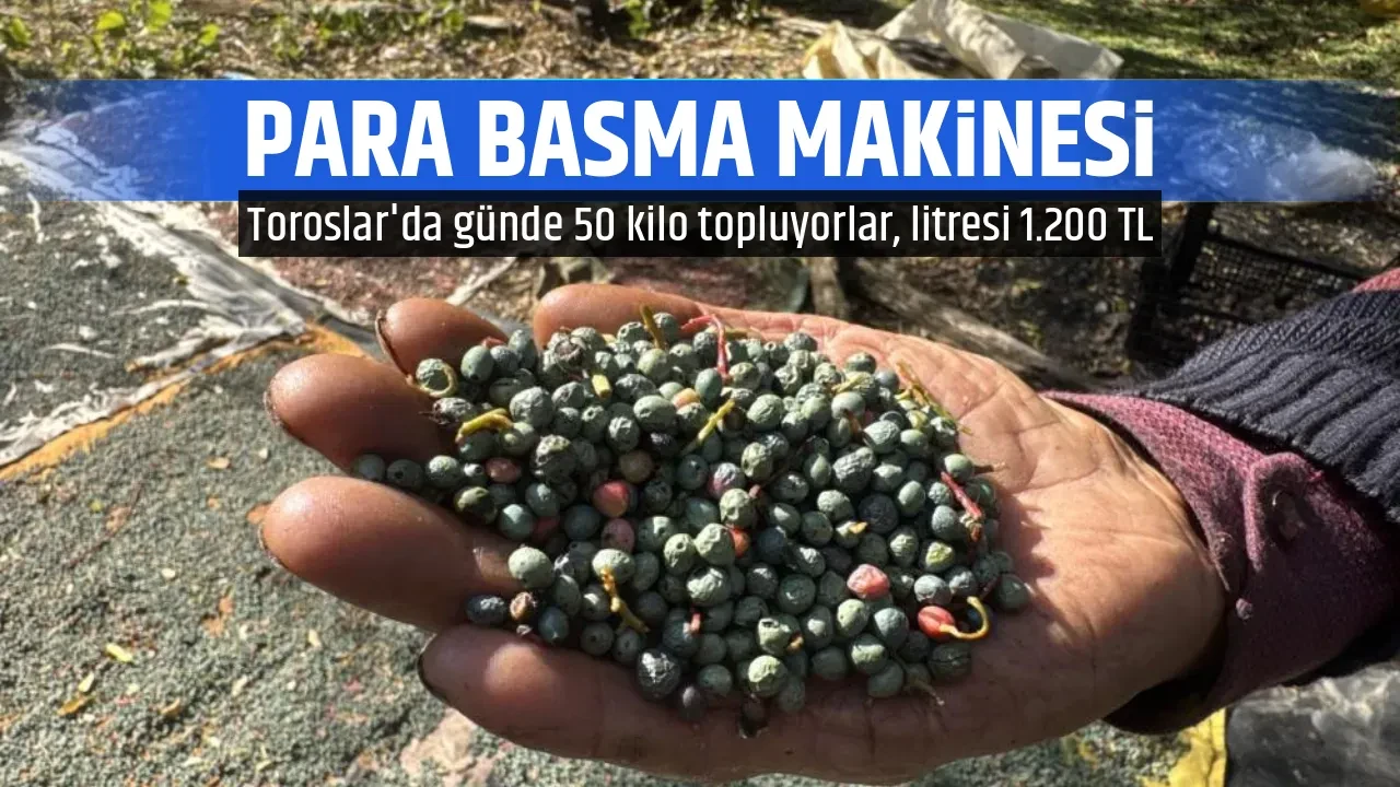 PARA BASMA MAKİNESİ 