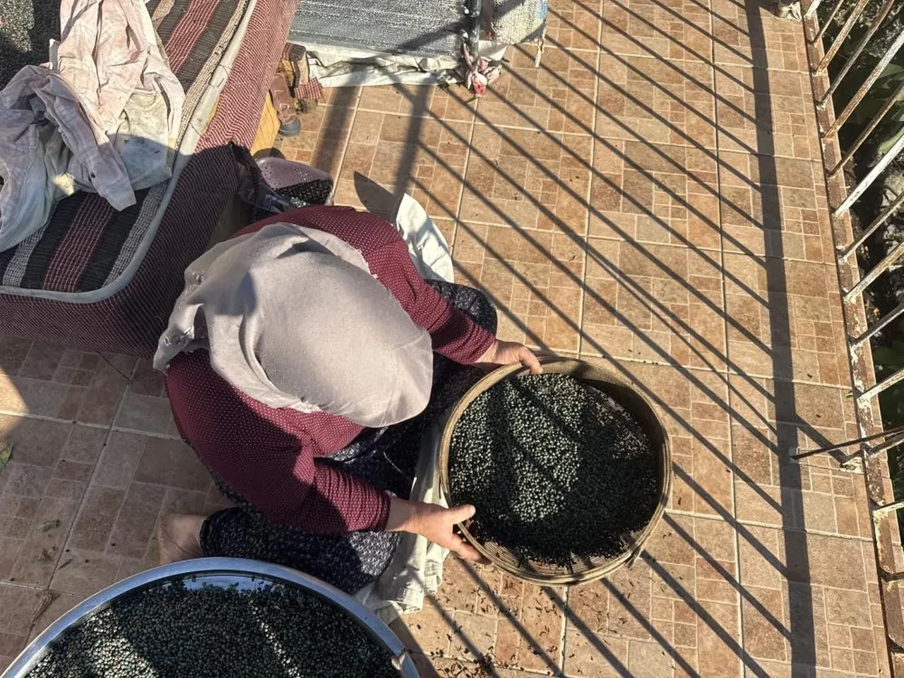 Toroslar'daki para basma makinesi: Günde 50 kilo topluyorlar, litresi 1.200 TL