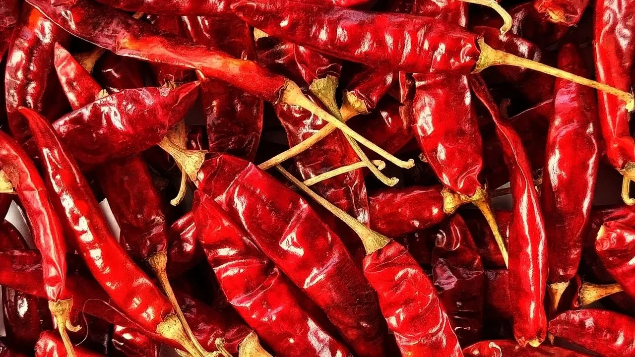Marketlerde bin liraya satılıyor! Evde kuru biber yapmanın en pratik yolları