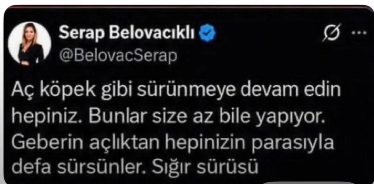 Serap Belovacıklı hakkında soruşturma başlatıldı