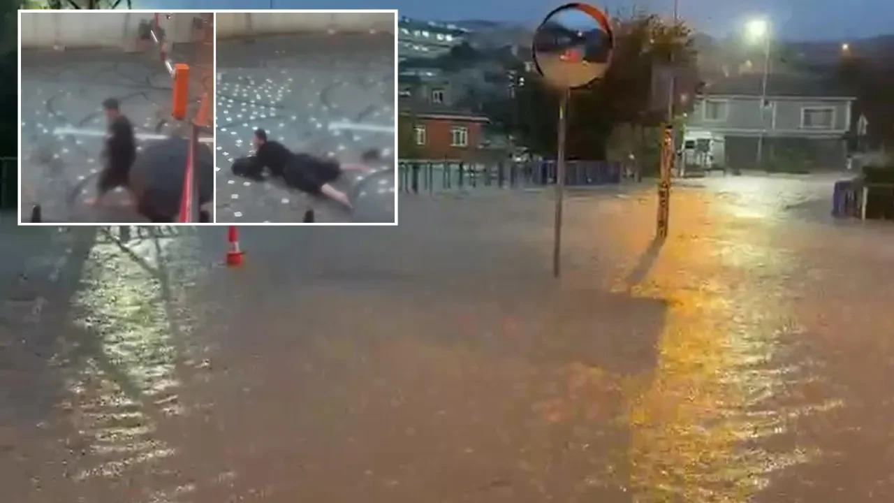 Fotoğraf