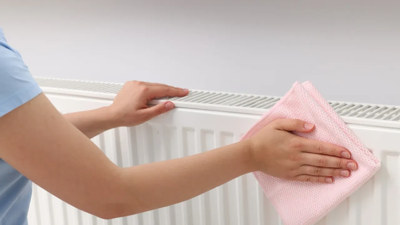 Petek temizliği ne zaman yapılmalı? Faturayı düşürecek sıcaklığı artıracak formül!