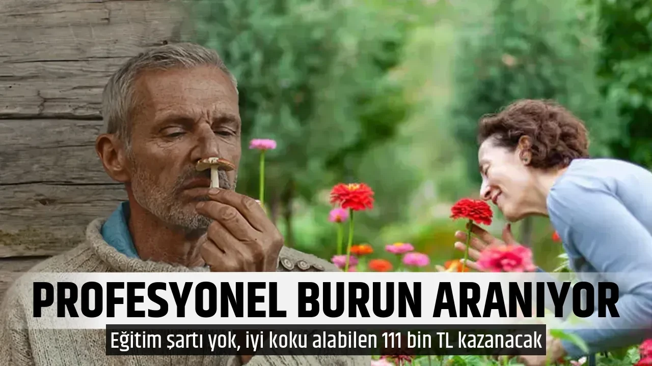 PROFESYONEL BURUN ARANIYOR