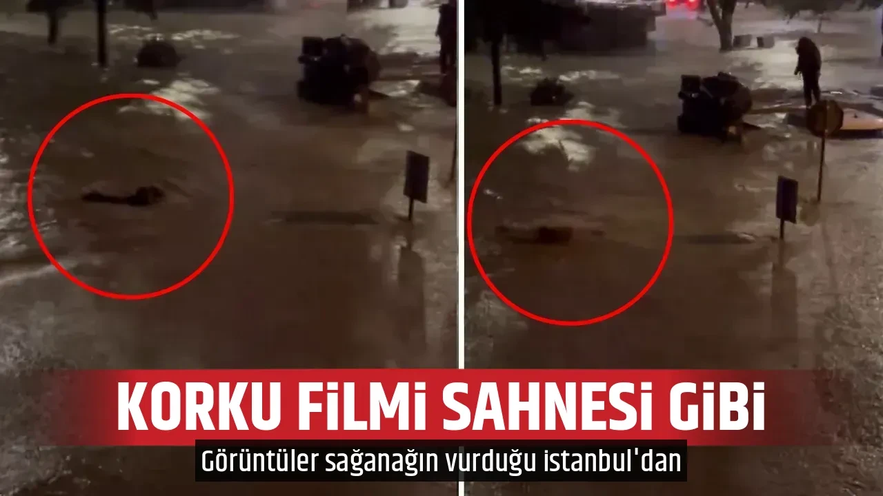 KORKU FİLMİ SAHNESİ GİBİ